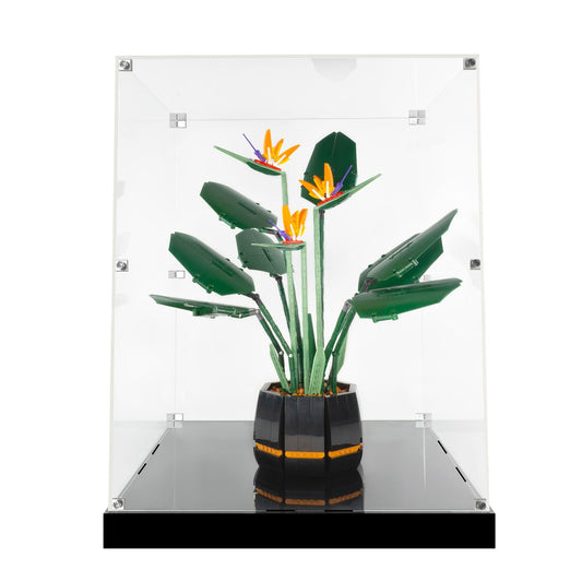(10289) Bird of Paradise LED Display Case