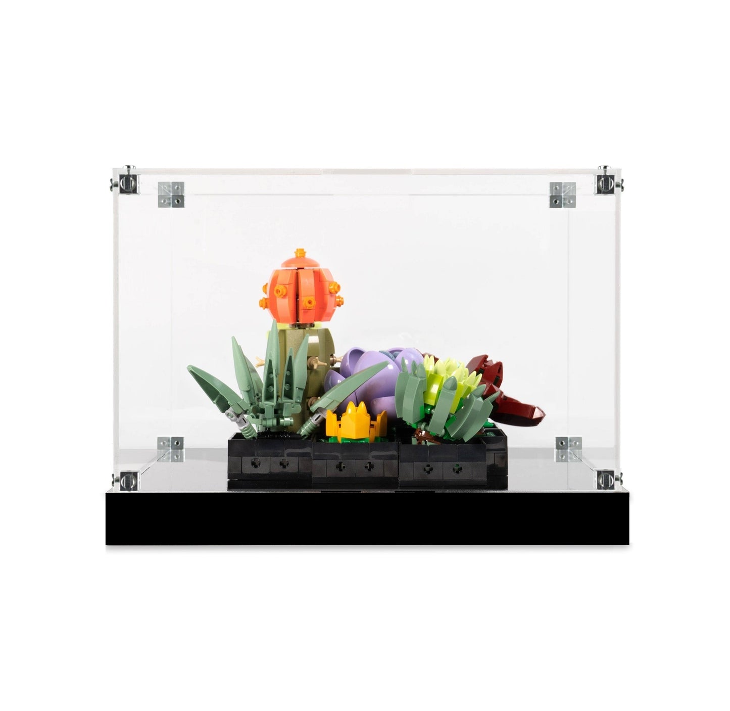 (10309) Succulents LED Display Case