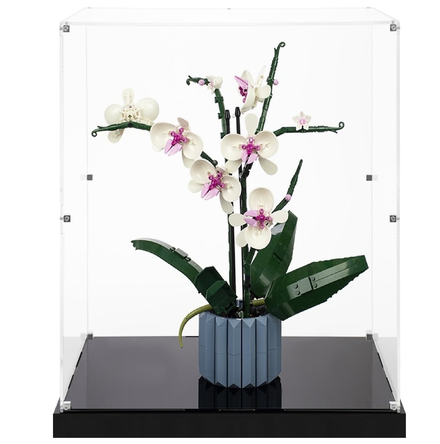 (10311) Orchid LED Display Case