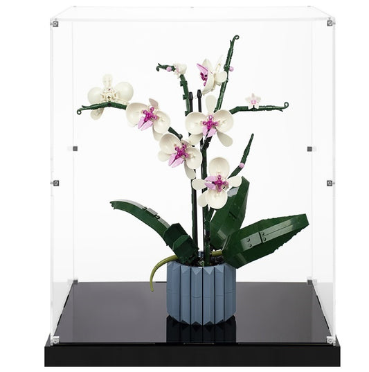 (10311) Orchid LED Display Case