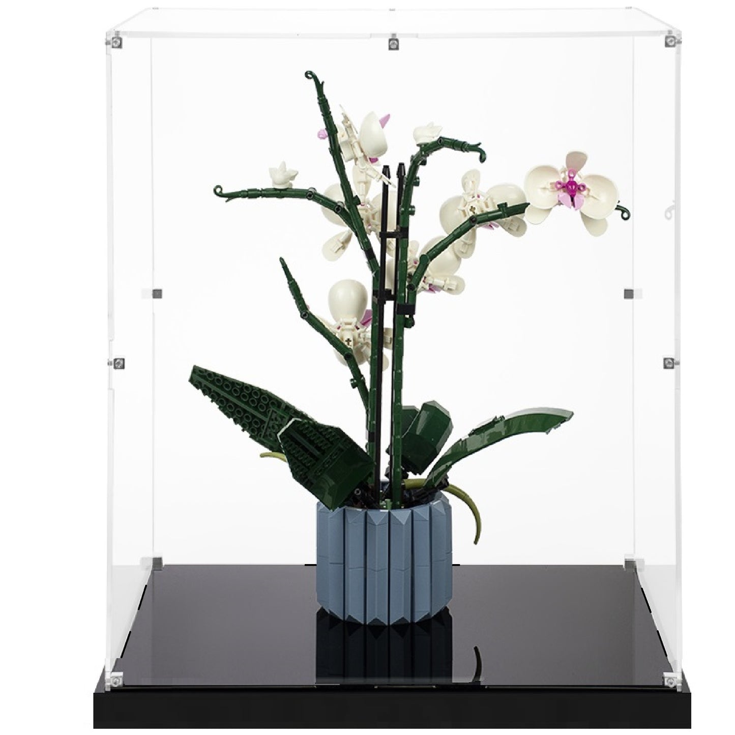(10311) Orchid LED Display Case