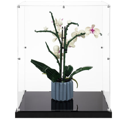 (10311) Orchid LED Display Case