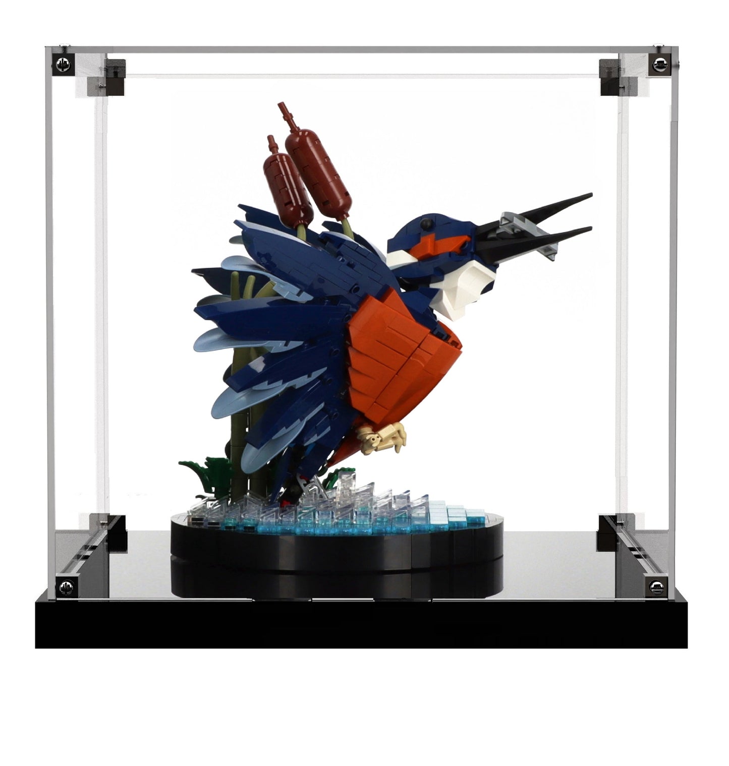 (10331) Kingfisher Bird LED Display Case