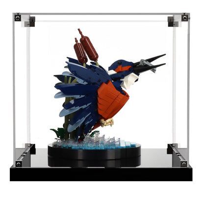 (10331) Kingfisher Bird LED Display Case