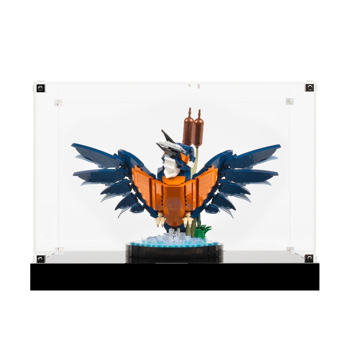 (10331) Kingfisher Bird LED Display Case