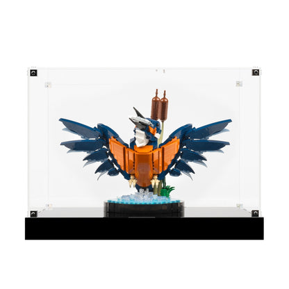 (10331) Kingfisher Bird LED Display Case