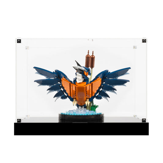 (10331) Kingfisher Bird LED Display Case