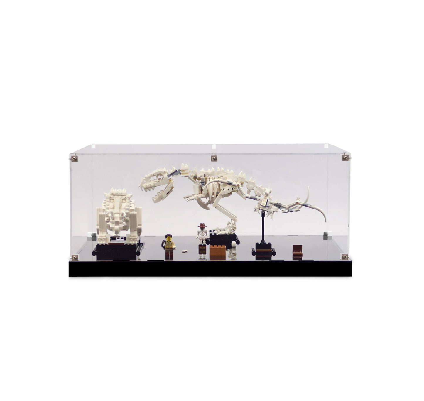 (21320) Dinosaur Fossils LED Display Case