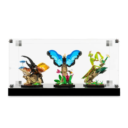 (21342) The Insect Collection LED Display Case