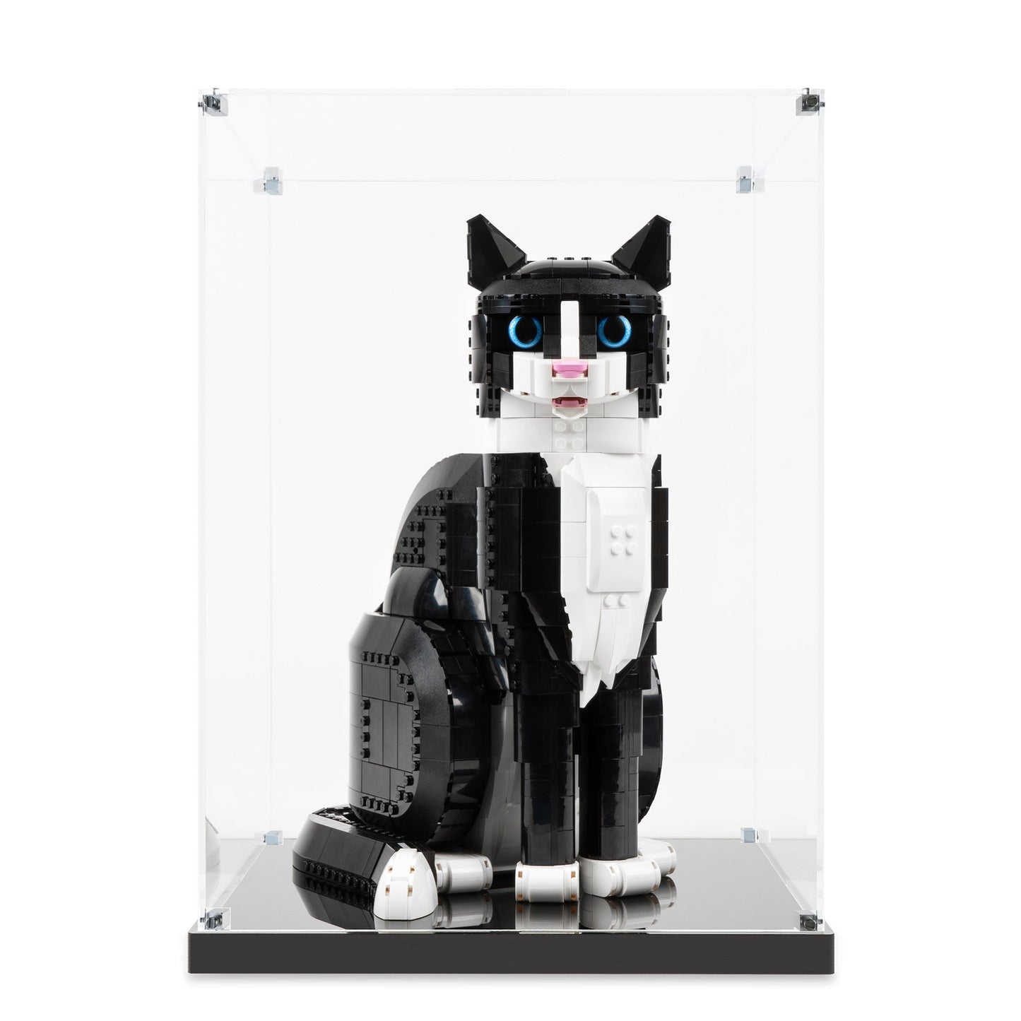 (21349) Tuxedo Cat LED Display Case