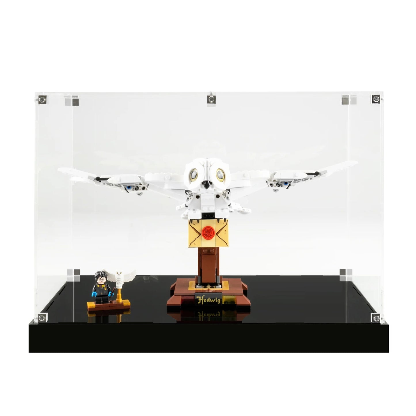 (75979) Hedwig™ LED Display Case
