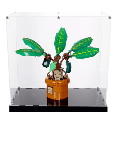 (76433) Mandrake LED Display Case