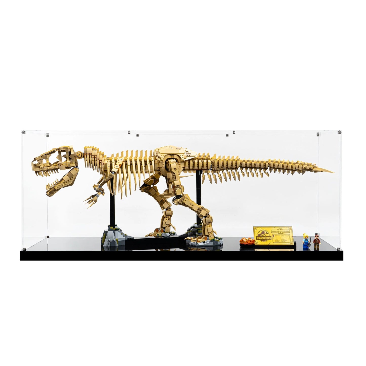 (76968) Dinosaur Fossils: Tyrannosaurus rex LED Display Case
