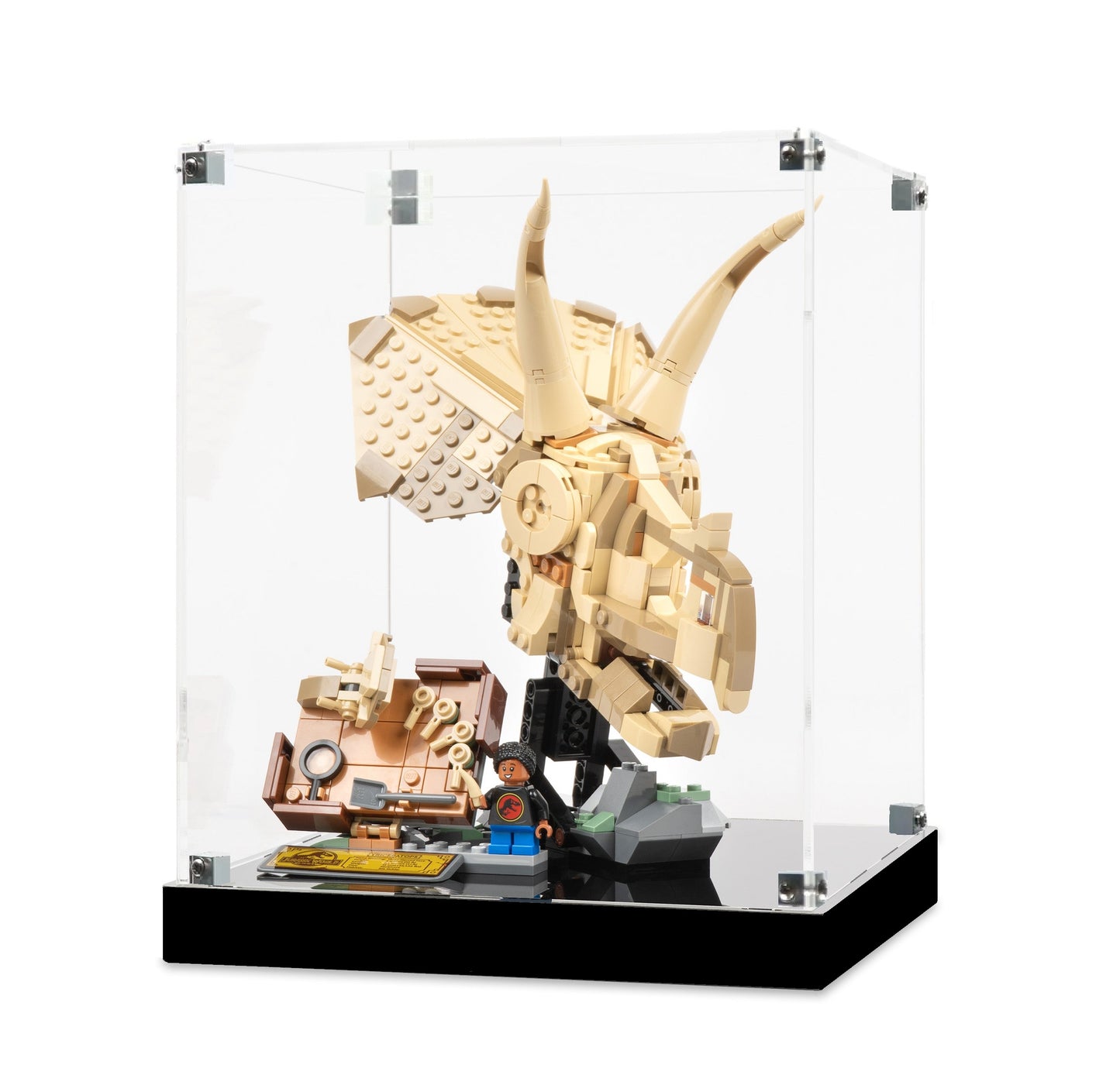 (76969) Dinosaur Fossils: Triceratops Skull LED Display Case