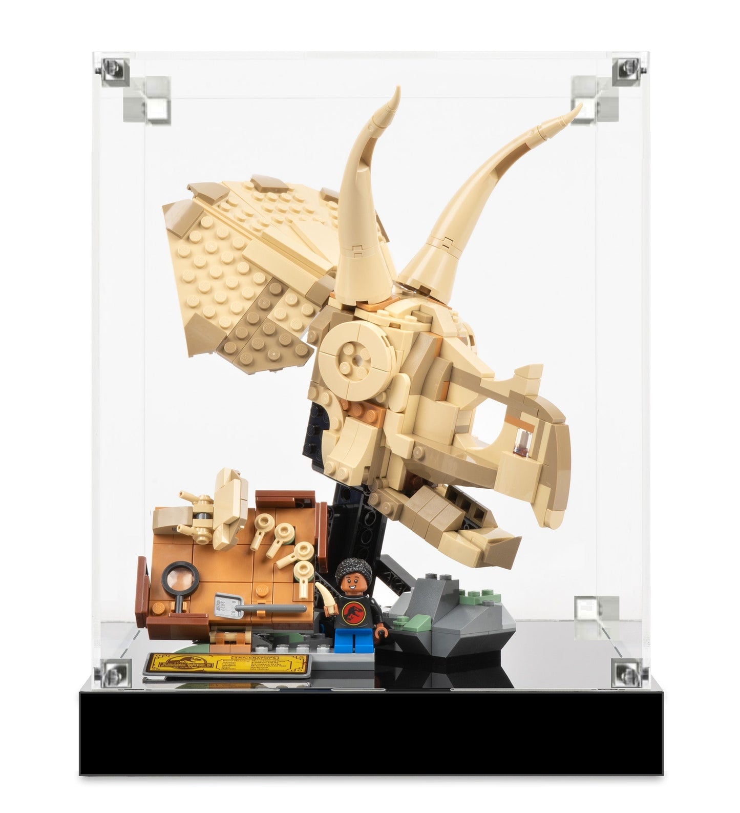(76969) Dinosaur Fossils: Triceratops Skull LED Display Case