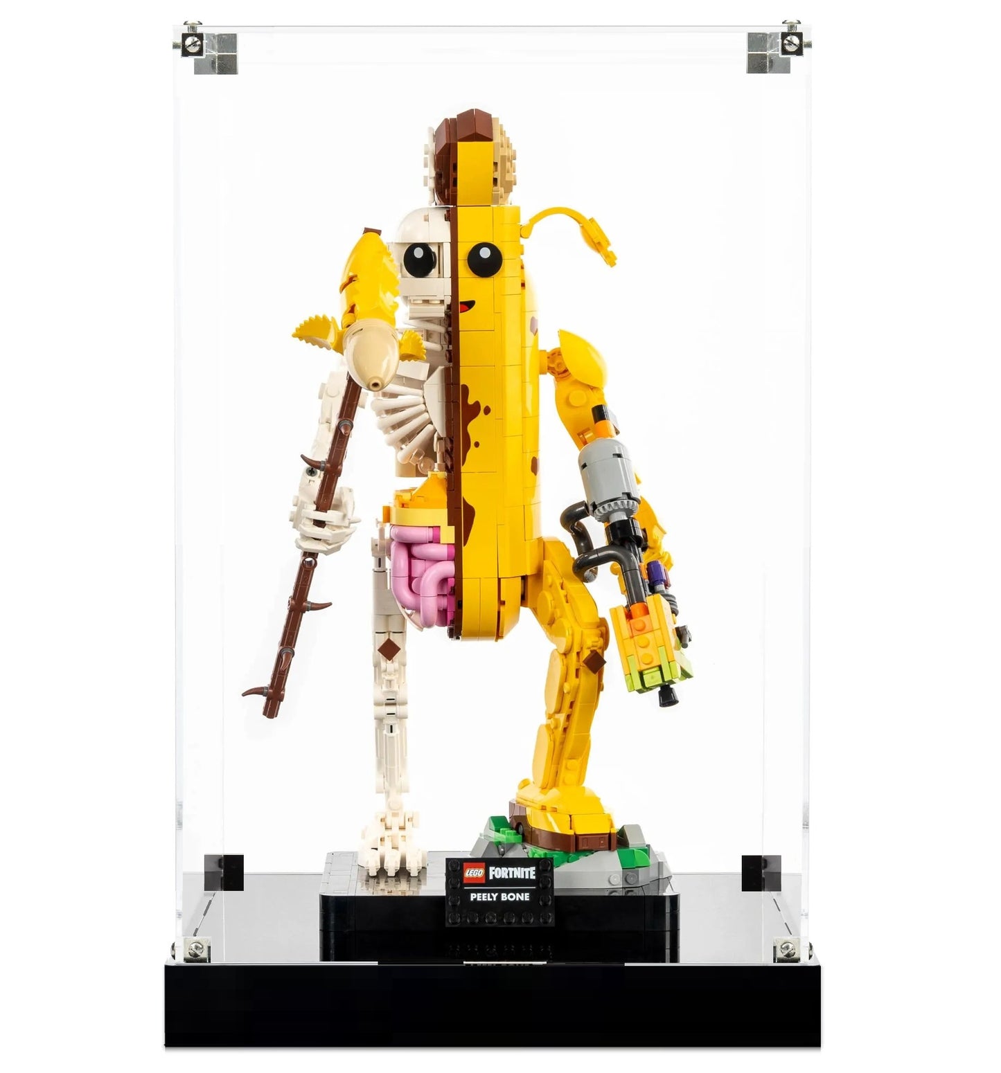 (77072) Peely Bone LED Display Case