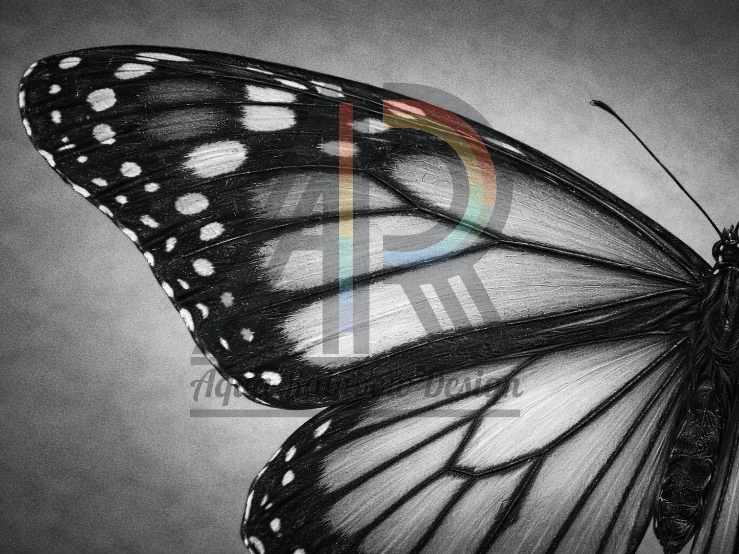 Monochrome Flight