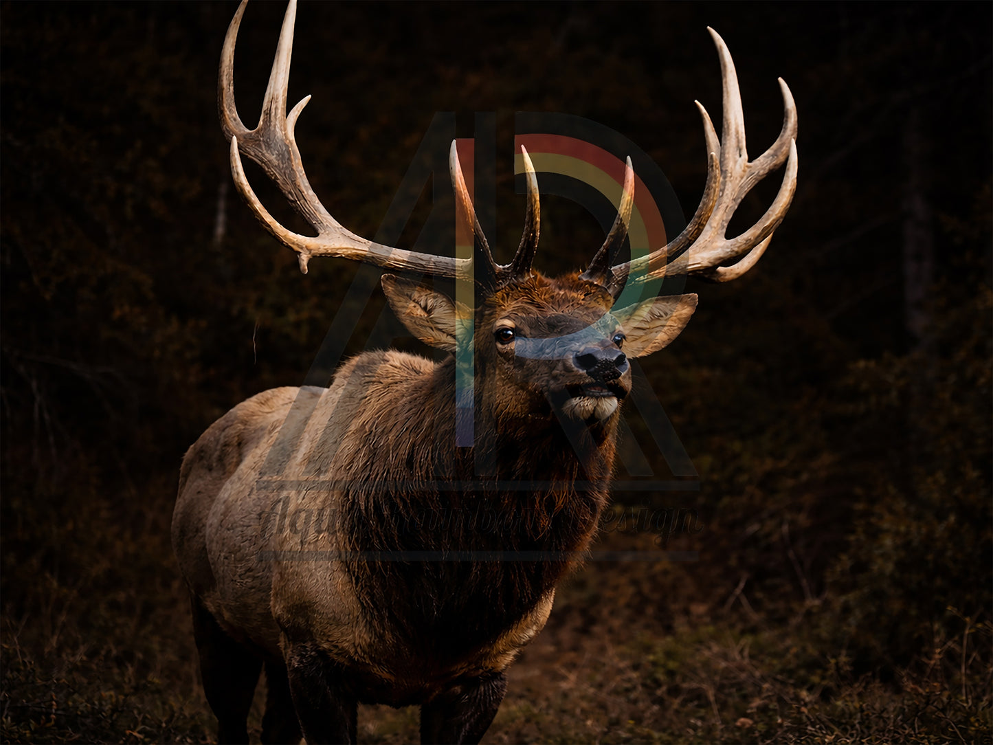 Crowned by the Wild