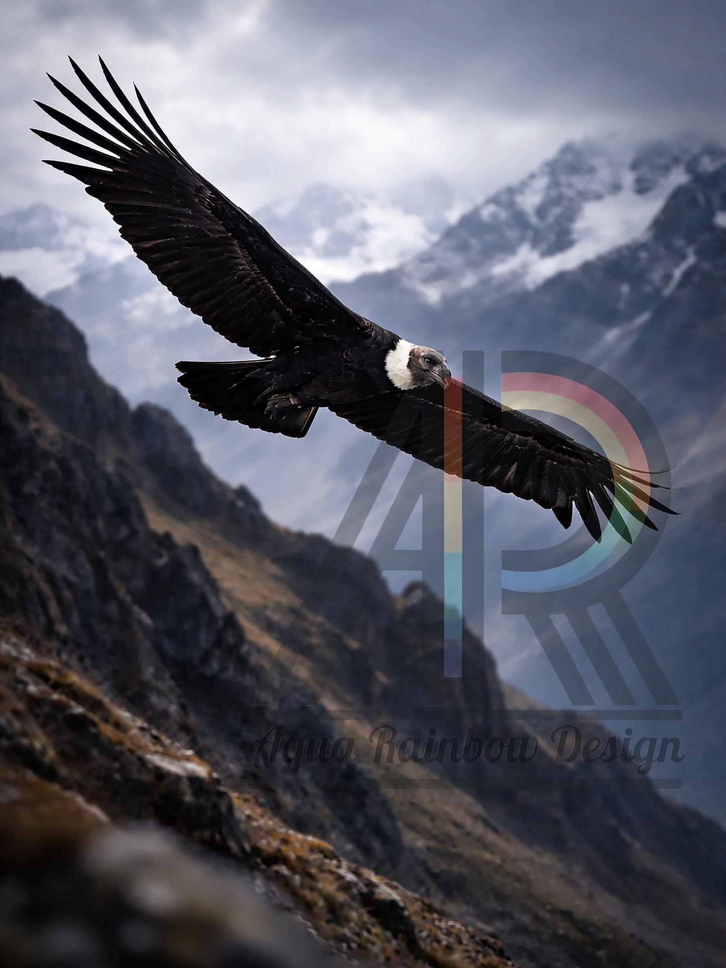 Above the Cordillera