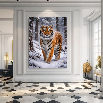 Winter Authority
