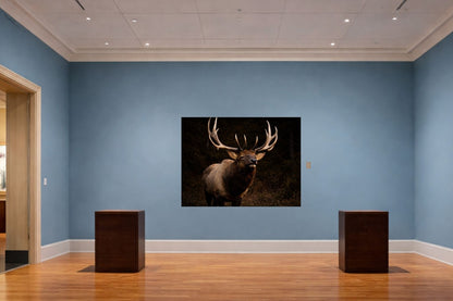 Crowned by the Wild