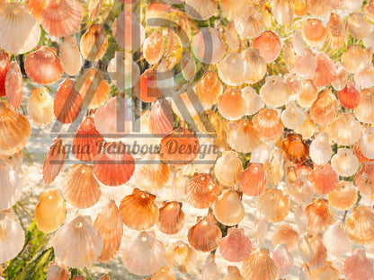 Soft Abundance