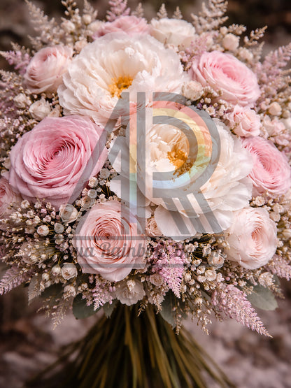 Romance of Soft Dawn