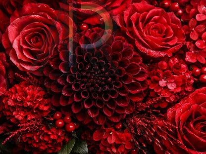 Velvet Heart