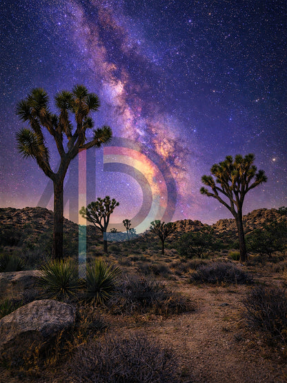 Milky Way Witness III