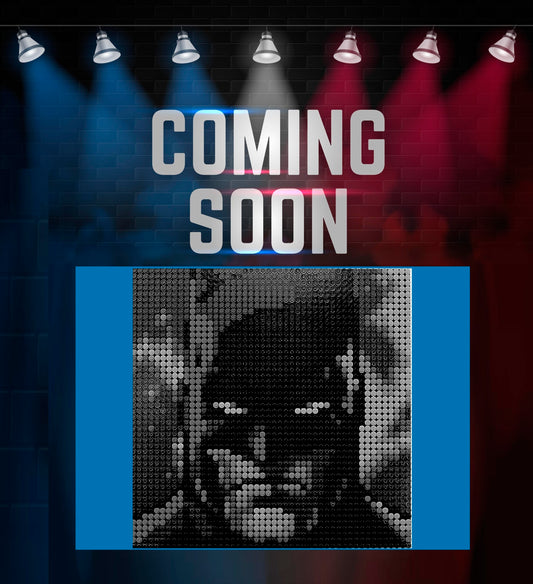 (31205) Jim Lee Batman™ Collection LED Display Case
